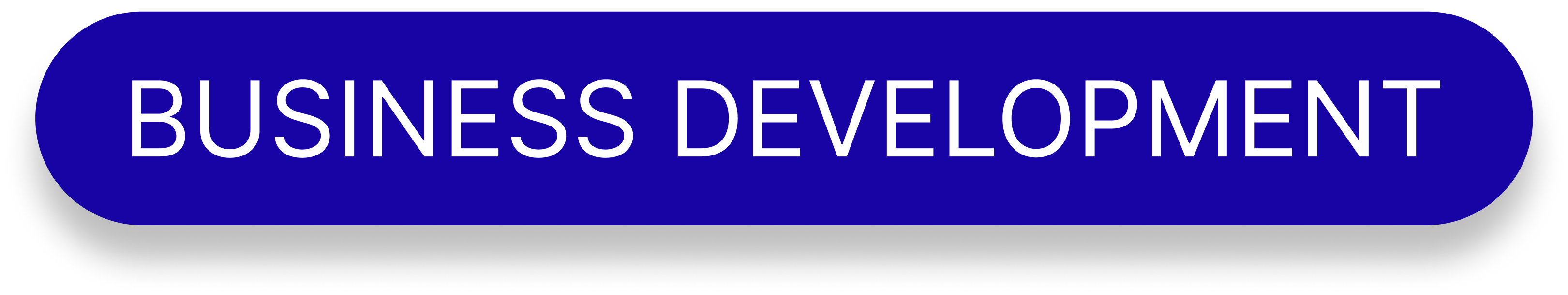 BUSINESS DEVELOPMENT